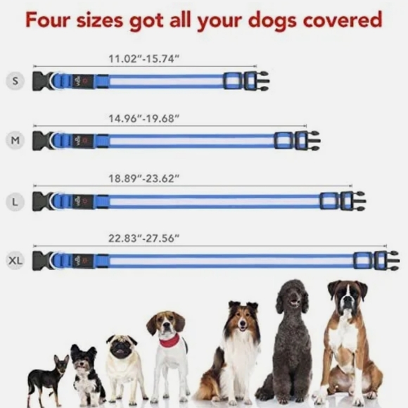 Vizpet Luminous Led Dog Collar Adjustable M - Picture 4 of 6